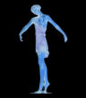 body